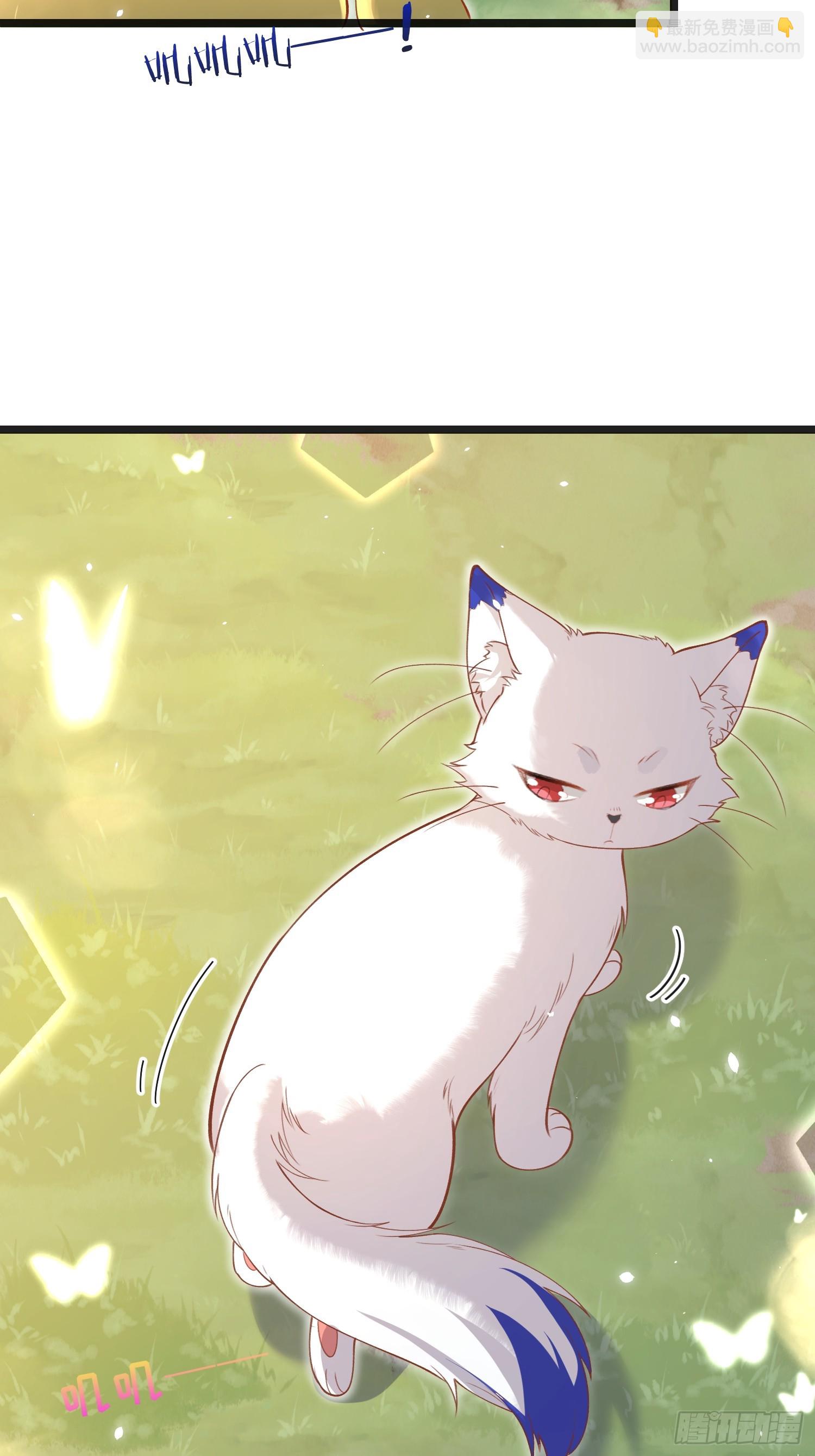 09 猫的梦境-第9话