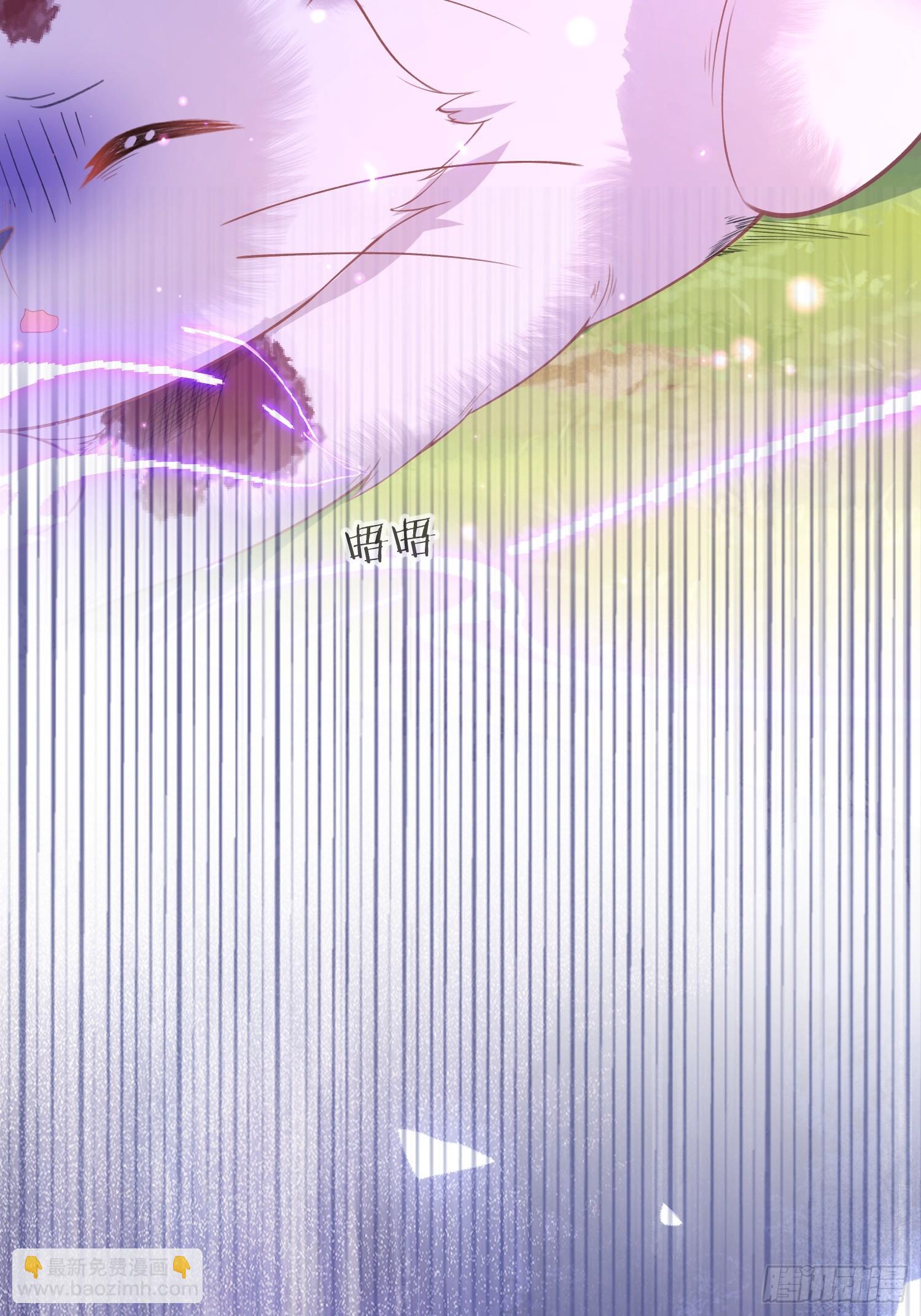 09 猫的梦境-第9话