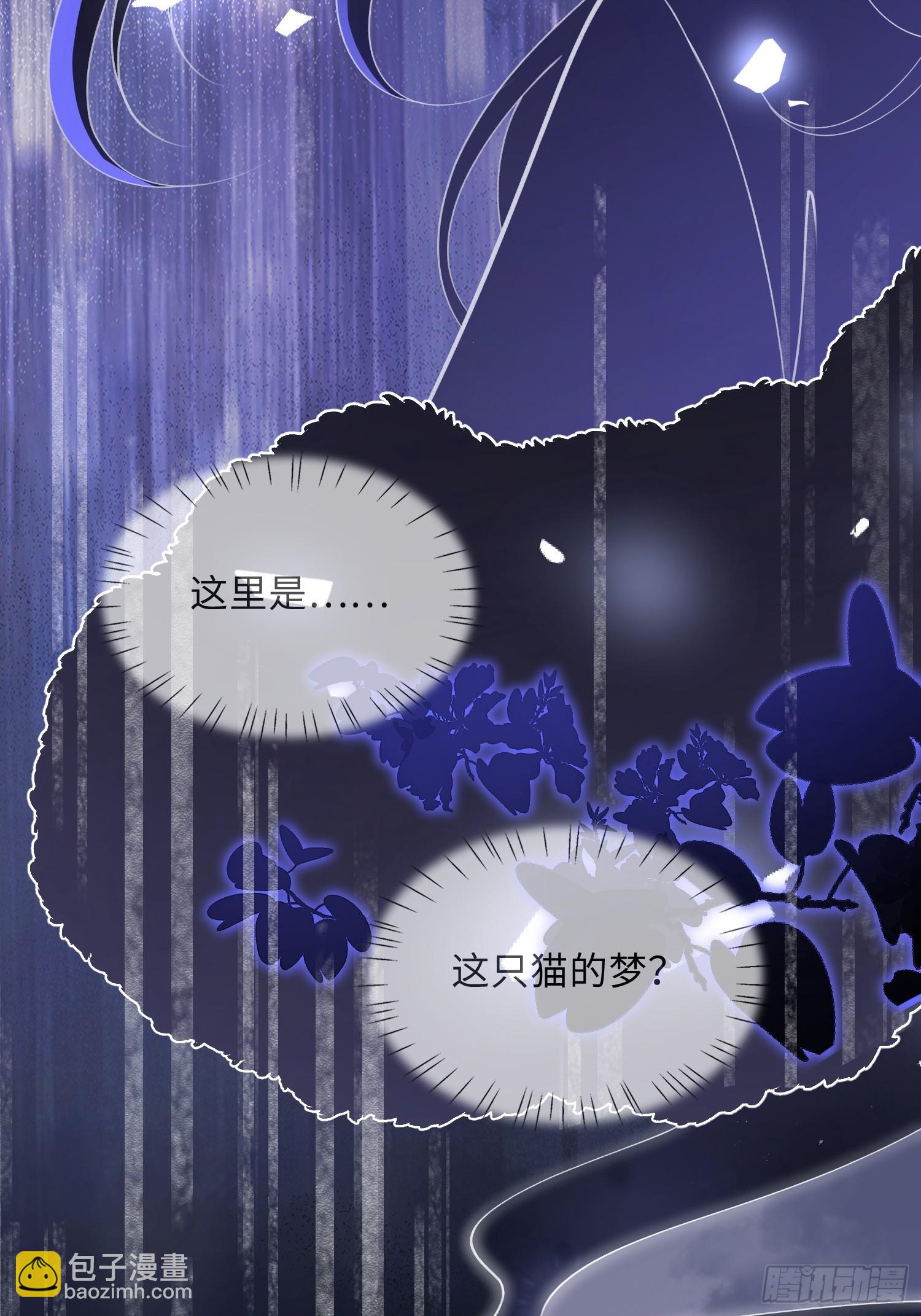 09 猫的梦境-第9话