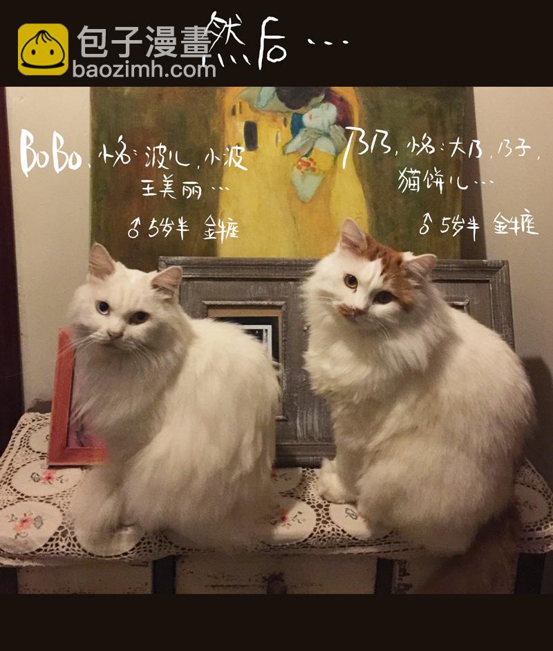 荒村直播（4）-第29话