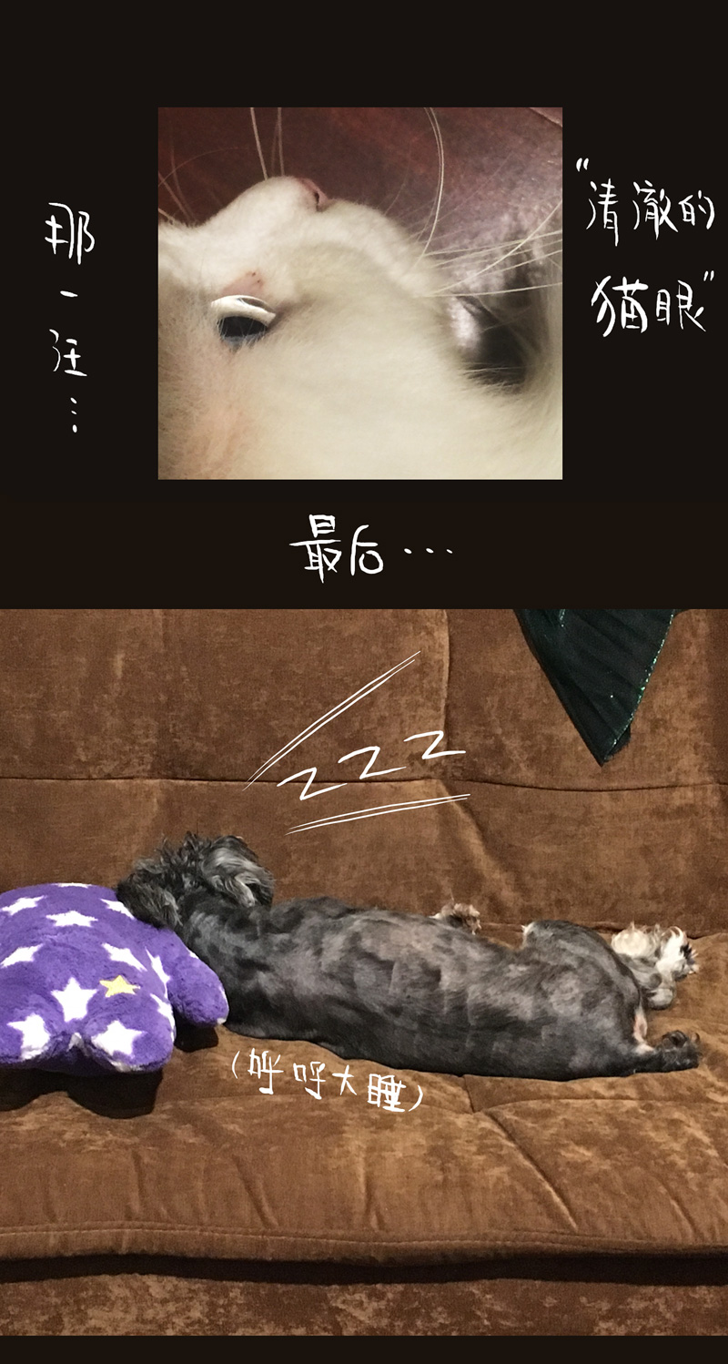 荒村直播（4）-第29话