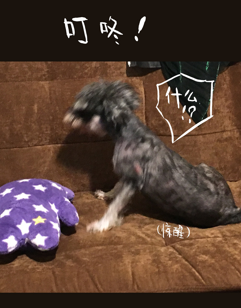 荒村直播（4）-第29话