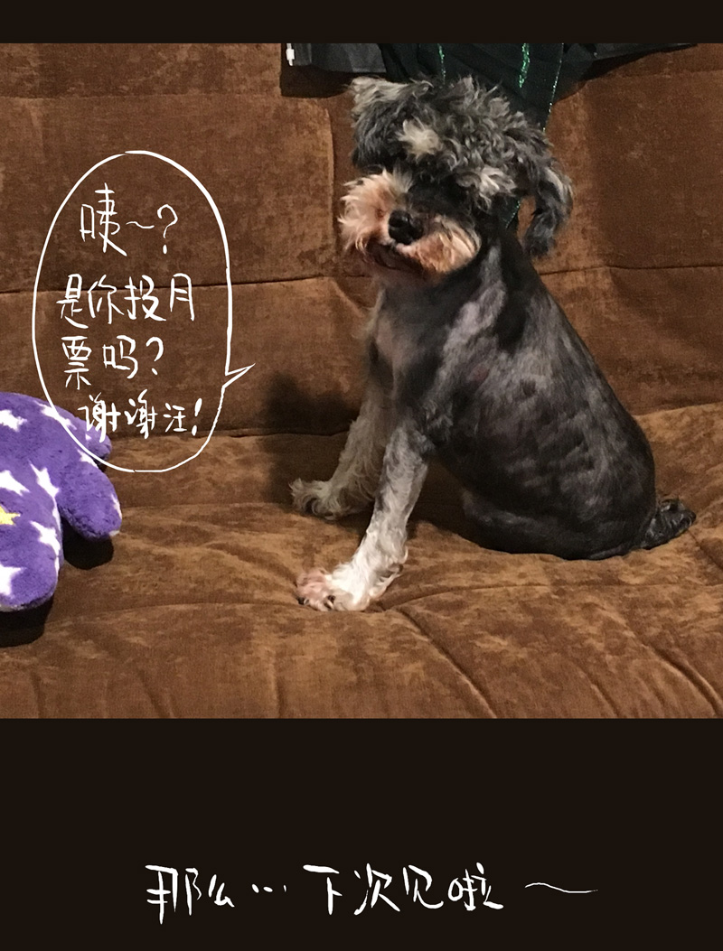 荒村直播（4）-第29话