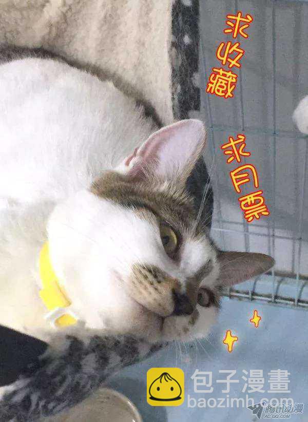 112话题美男的前妻（下）-第113话