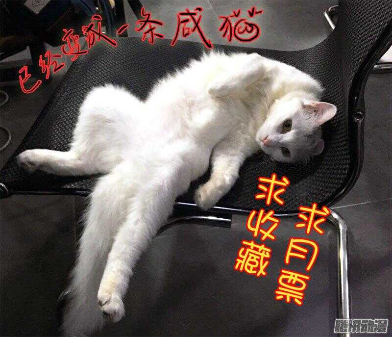 117叶夫人的天罗地网（下）-第117话