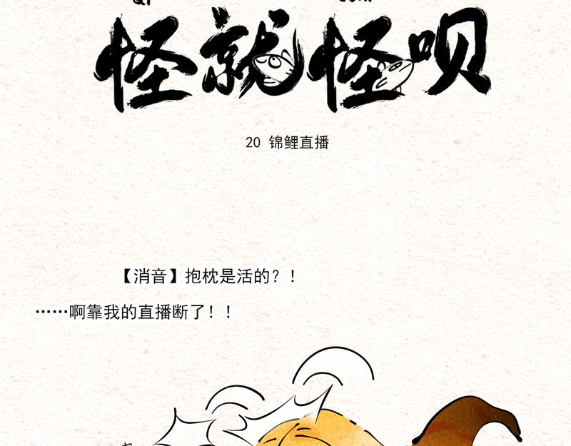 怪就怪唄 - 錦鯉直播（在線答疑） - 6