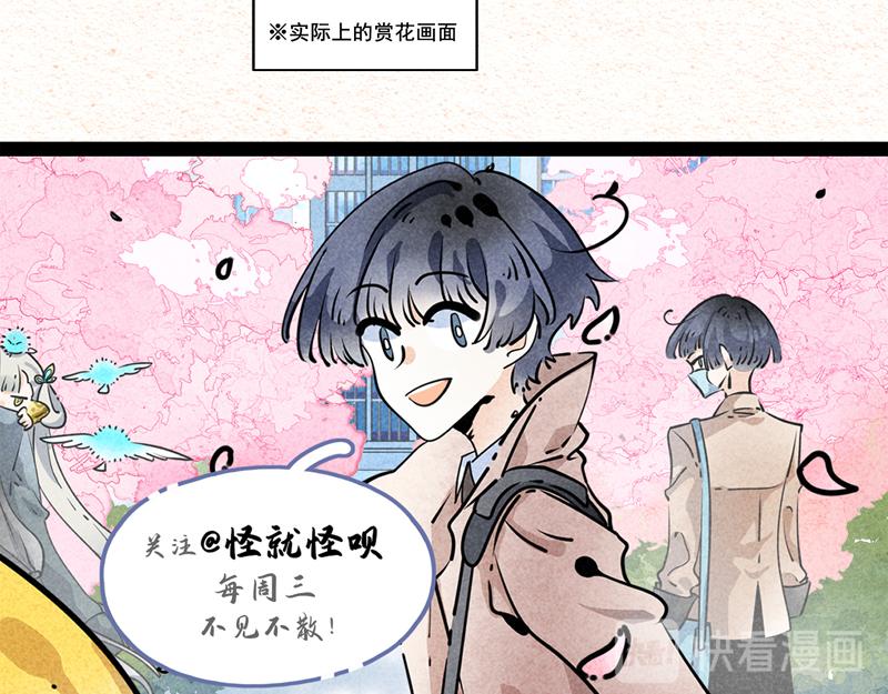 硬核赏花-第37话