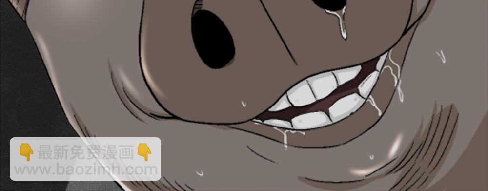 猪头人2(1/3)-第37话