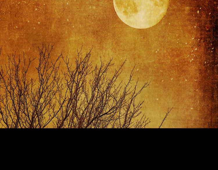 章鱼怪诞（三）(1/2)-第21话