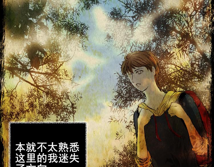 迷雾山谷(1/3)-第37话