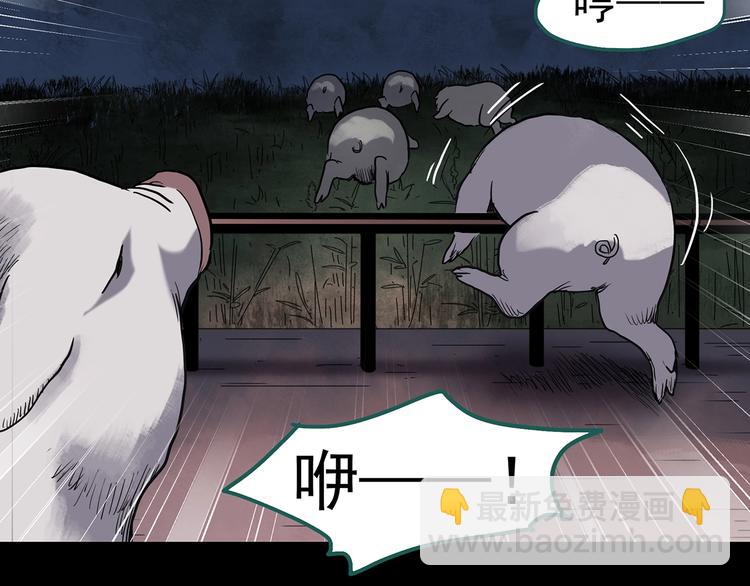 怪奇實錄 - 第255話  美女豬肉鋪  下(2/2) - 6