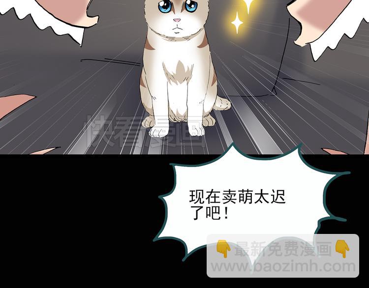 怪奇實錄 - 第29話 怪之貓(中)(1/2) - 8