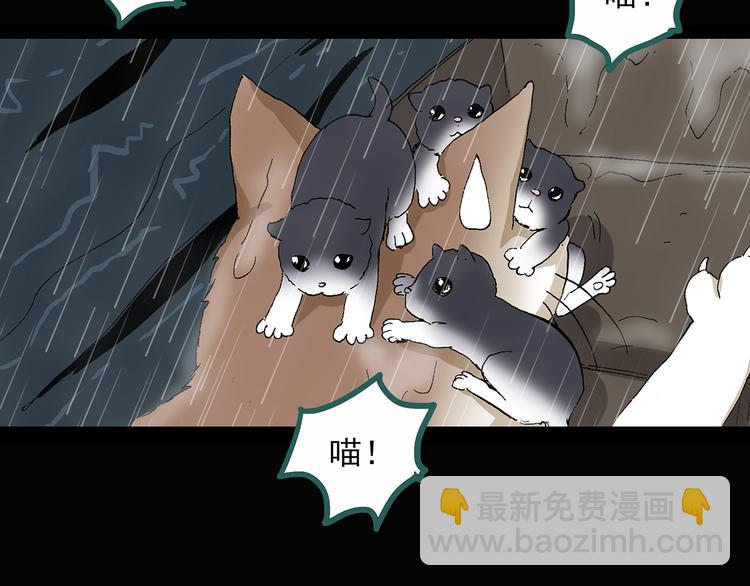 怪奇實錄 - 第31話  怪之貓（下）(2/3) - 2