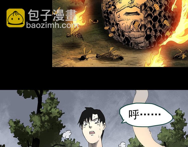 怪奇實錄 - 第335話 人頭蜂巢（下）(2/3) - 5