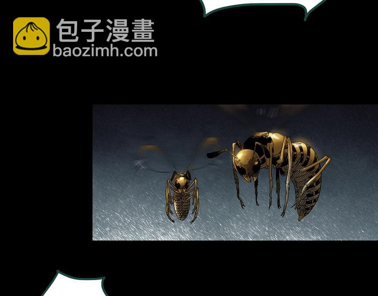 怪奇實錄 - 第335話 人頭蜂巢（下）(2/3) - 5