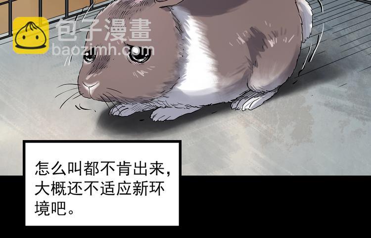 怪奇實錄 - 第357話 樹上影 上(1/3) - 1