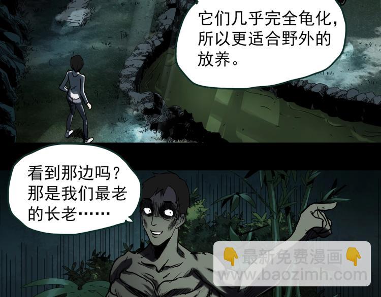 怪奇實錄 - 第375話 龜之怪談（下）(2/3) - 5