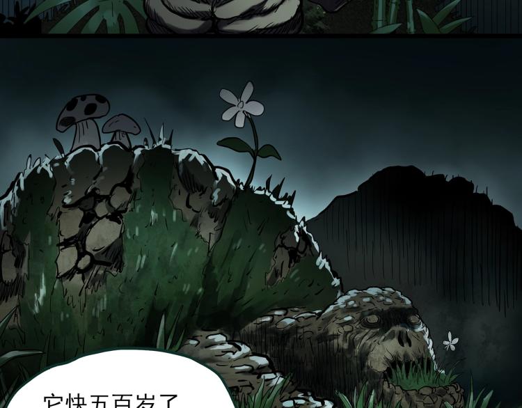 怪奇實錄 - 第375話 龜之怪談（下）(2/3) - 6