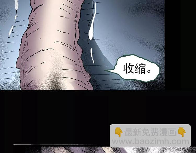 怪奇實錄 - 第87話 蛻皮少女（上）(2/2) - 4