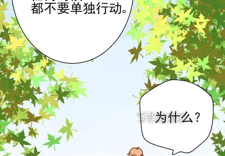 第38话    裂痕(1/2)-第39话