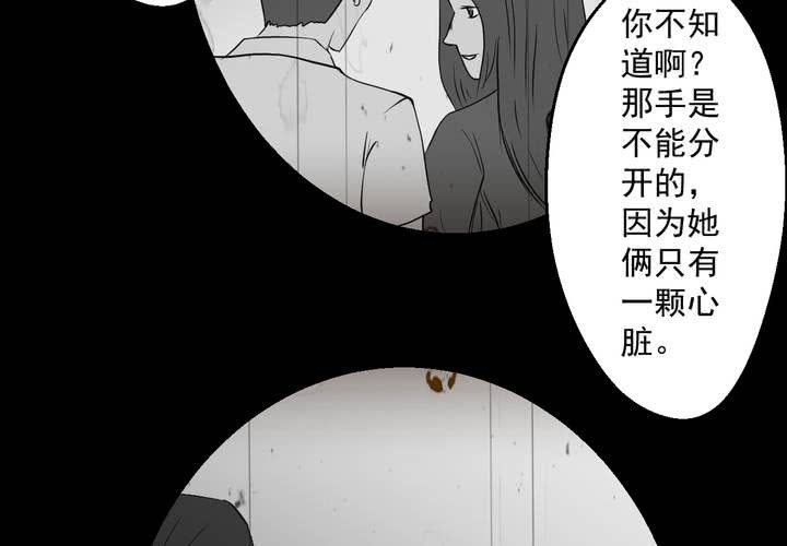 第25话 双生花（结局）(1/3)-第27话