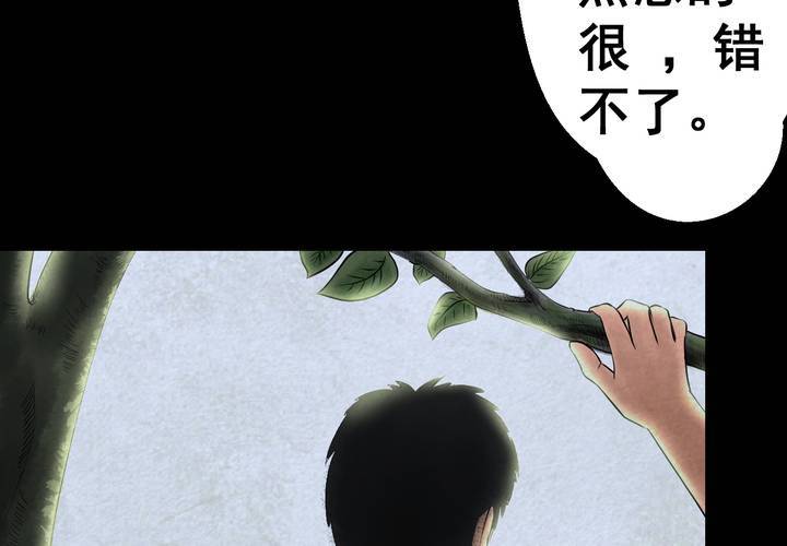 第45话 雷公花-今生（上）(1/2)-第49话