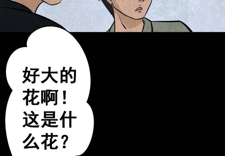 第45话 雷公花-今生（上）(1/2)-第49话