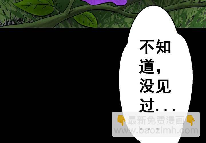 第45话 雷公花-今生（上）(1/2)-第49话