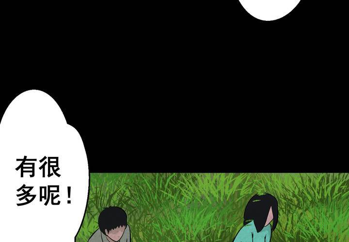 第45话 雷公花-今生（上）(1/2)-第49话