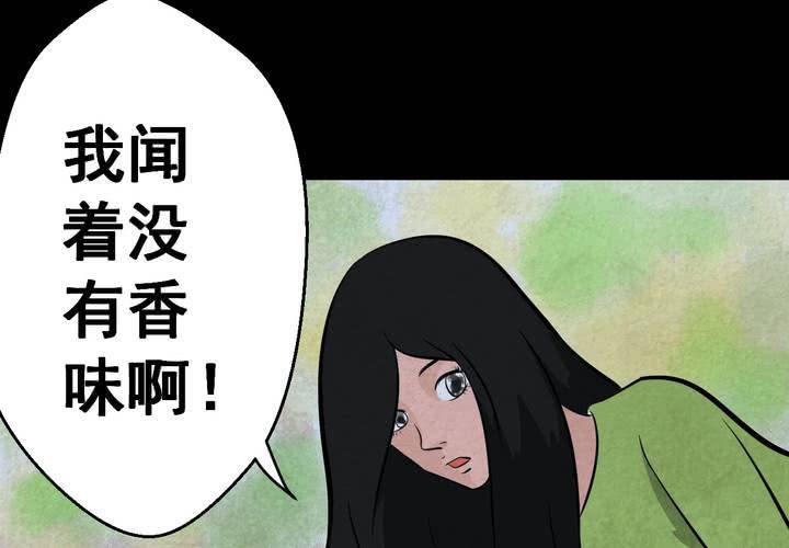 第45话 雷公花-今生（上）(1/2)-第49话