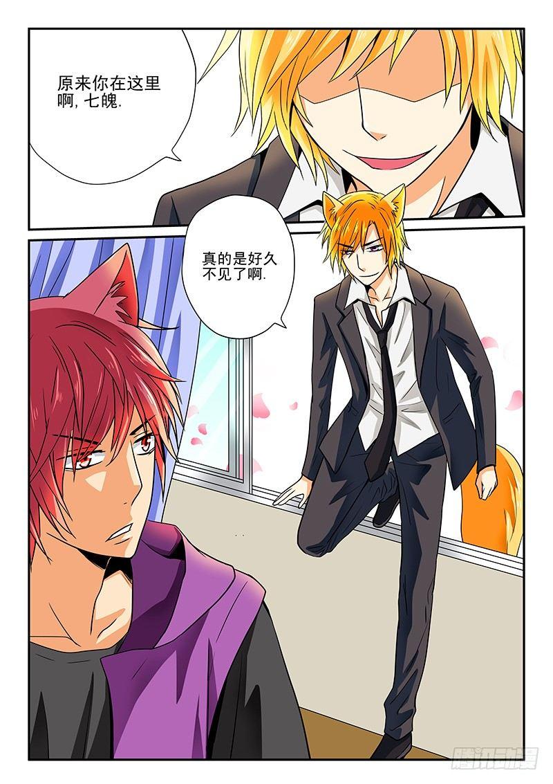 第5章 白狸登场-第5话