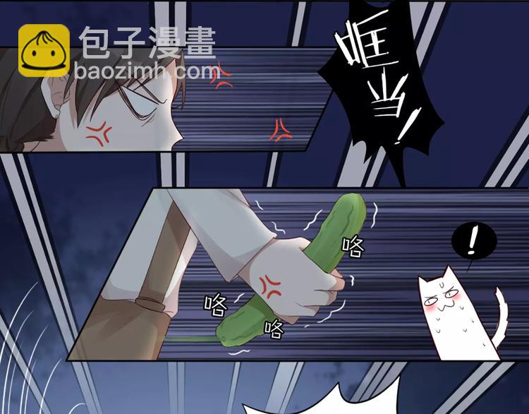 第20话 猫男的秘密(1/2)-第21话