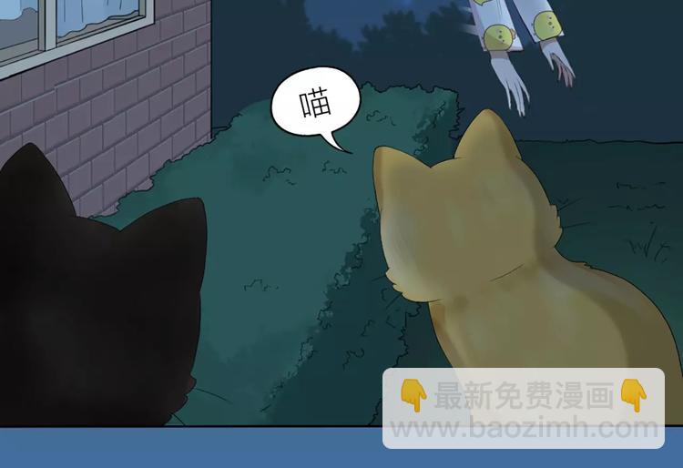 第20话 猫男的秘密(1/2)-第21话