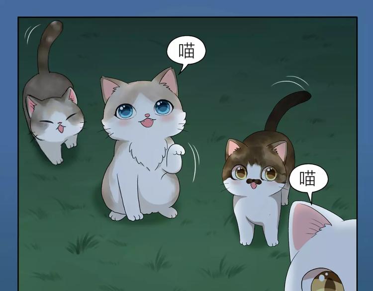 第20话 猫男的秘密(1/2)-第21话