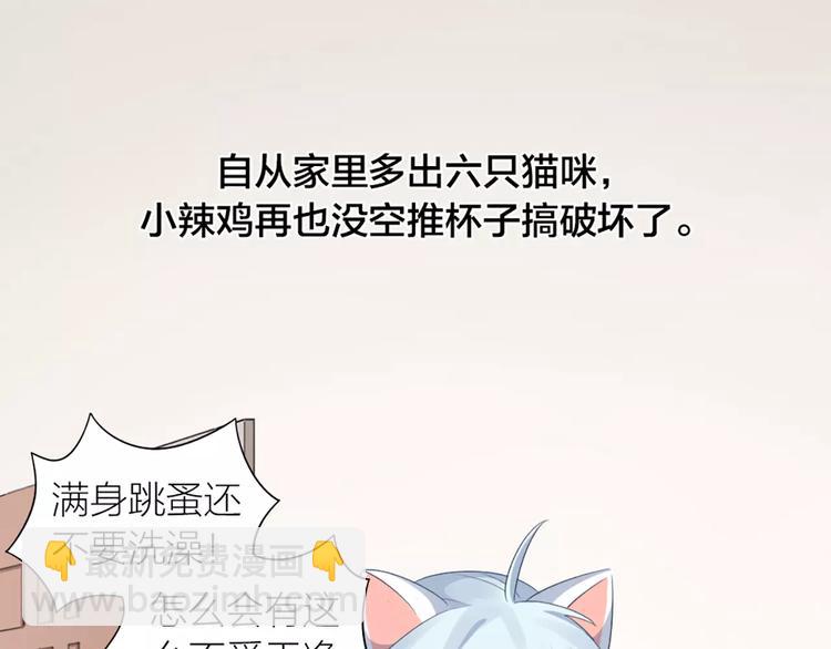 第22话 绝育手术？(1/2)-第23话