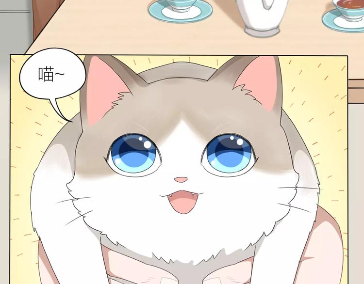 第22话 绝育手术？(1/2)-第23话