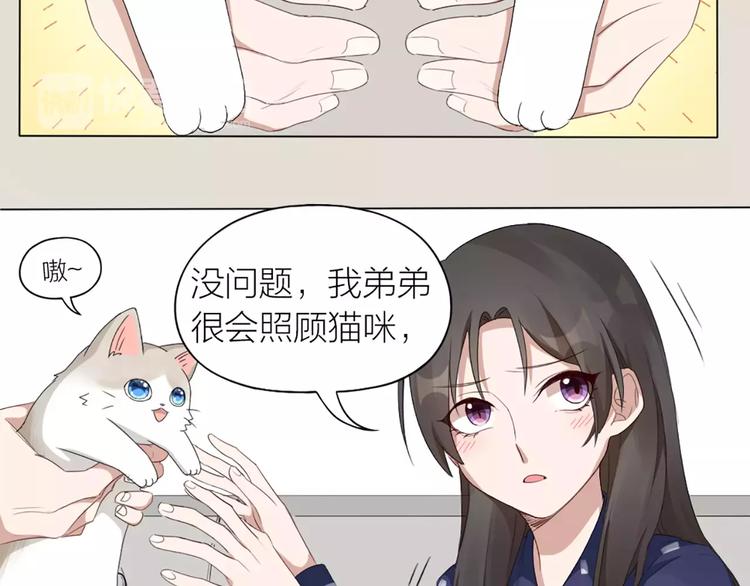 第22话 绝育手术？(1/2)-第23话