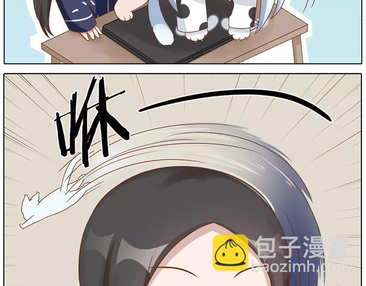 番外 养猫指南？-第29话