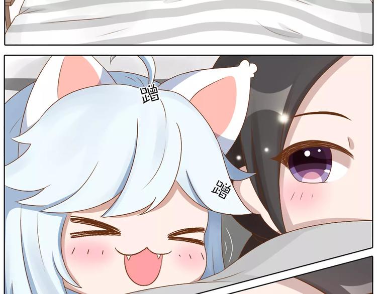 番外 养猫指南？-第29话