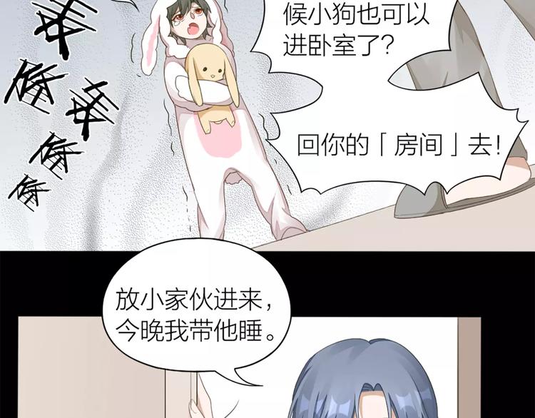 第35话 猫咪的坚持(1/2)-第37话