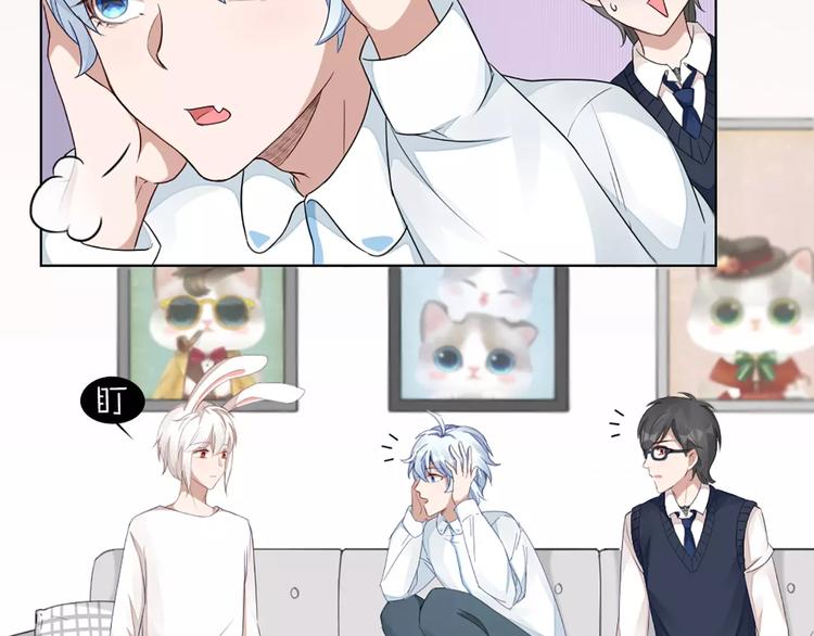 第35话 猫咪的坚持(1/2)-第37话