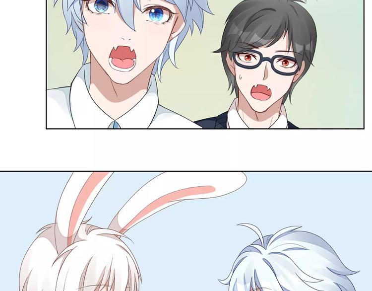 第35话 猫咪的坚持(1/2)-第37话