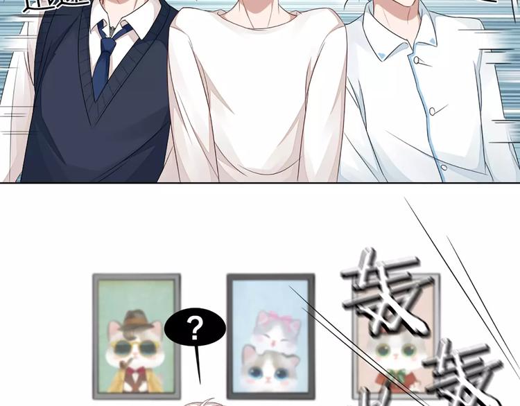 第35话 猫咪的坚持(1/2)-第37话