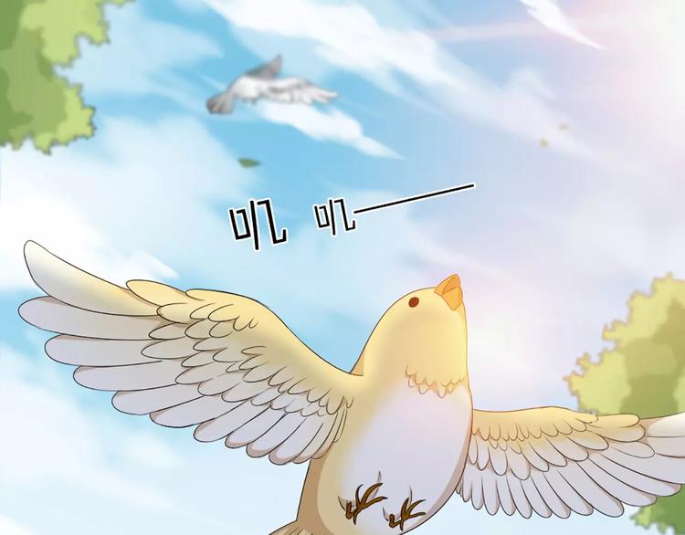 第35话 猫咪的坚持(1/2)-第37话