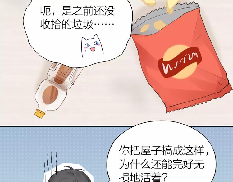 第35话 猫咪的坚持(1/2)-第37话