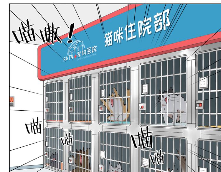 第58话 性感护工，在线撸猫(1/2)-第61话