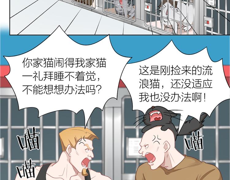 第58话 性感护工，在线撸猫(1/2)-第61话