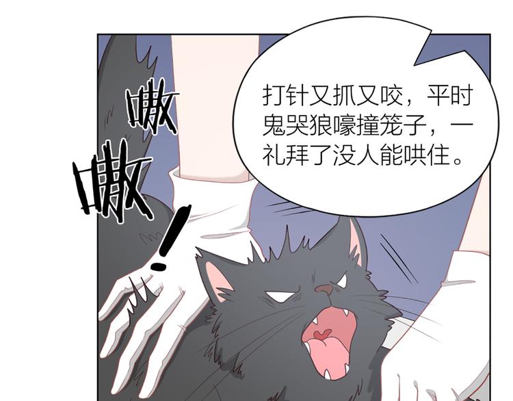 第58话 性感护工，在线撸猫(1/2)-第61话