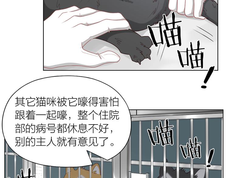 第58话 性感护工，在线撸猫(1/2)-第61话