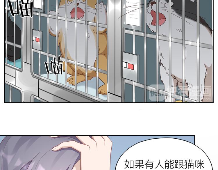 第58话 性感护工，在线撸猫(1/2)-第61话